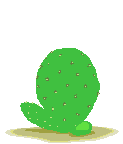 Cactus garden Oettingen