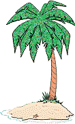 Palmtrees in Germany
