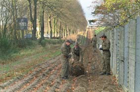 Stacheldrahtabbau an der DDR-Grenze